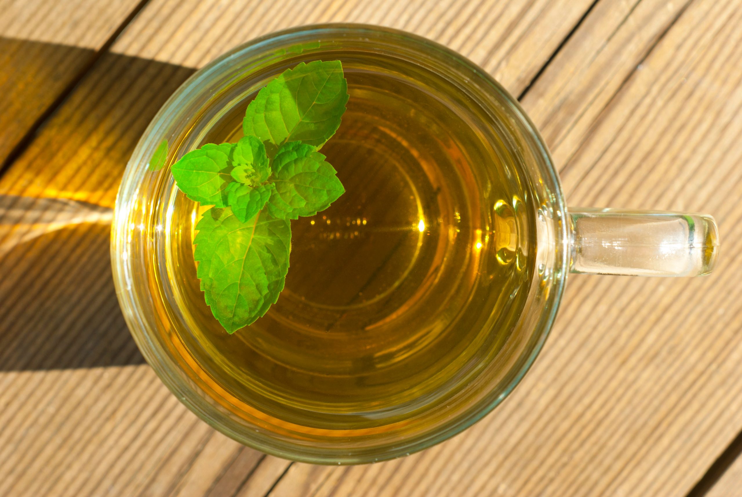 cornides_icetea