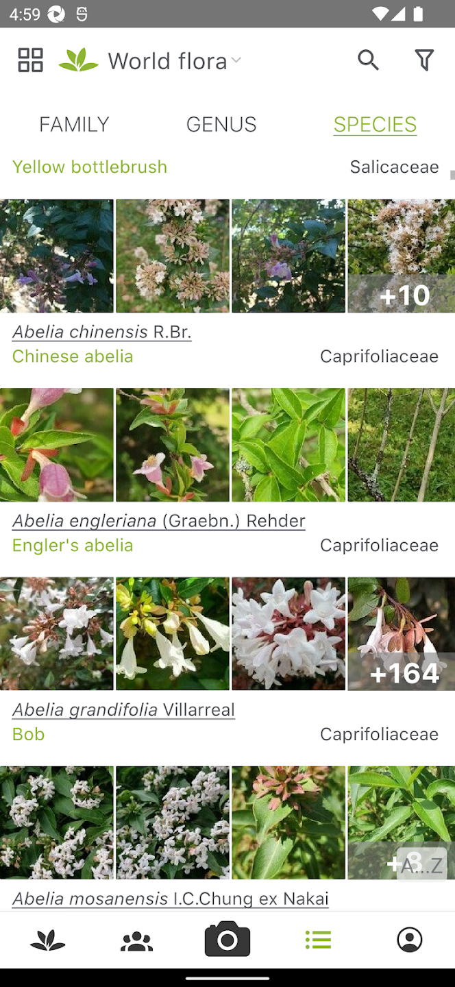 plantnet